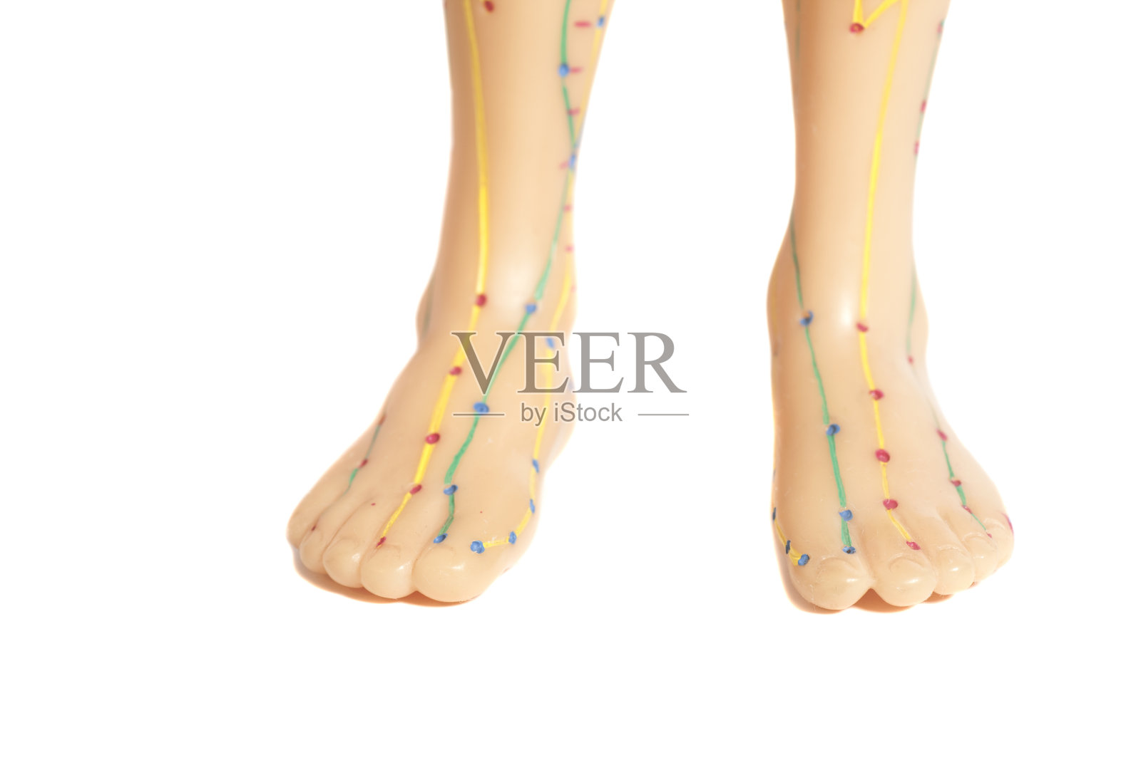 人体足部医疗针灸模型照片摄影图片