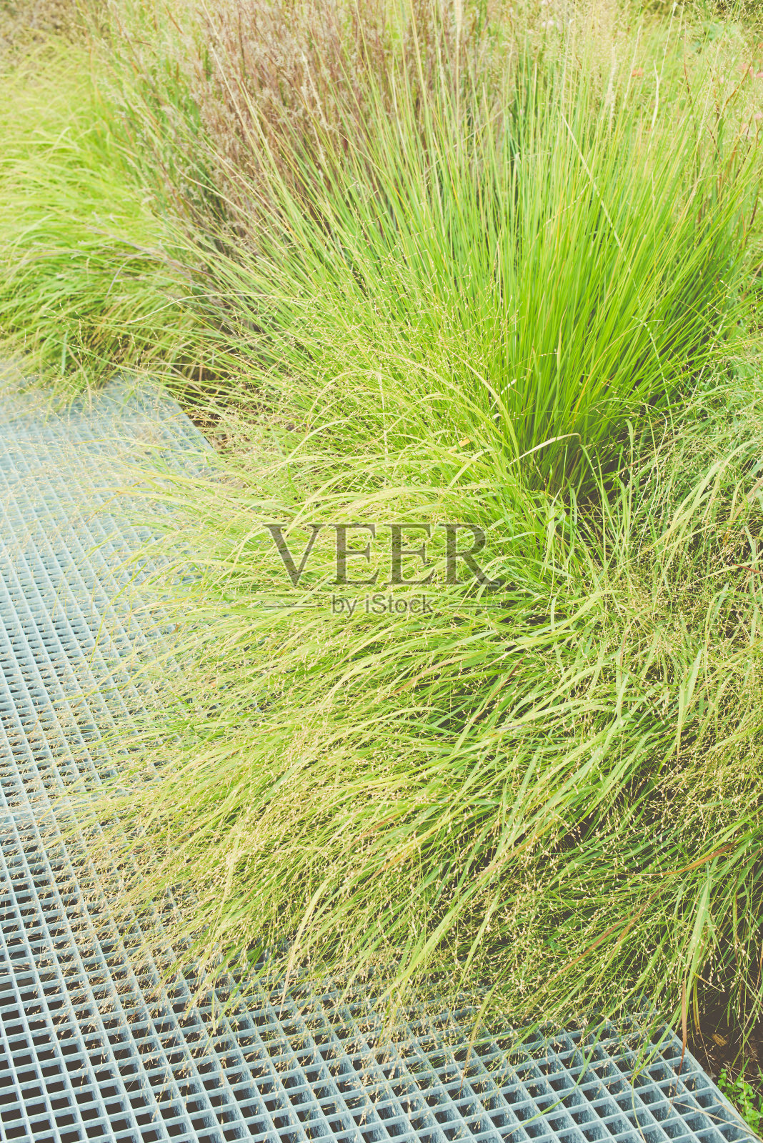 城市建筑的细节照片摄影图片