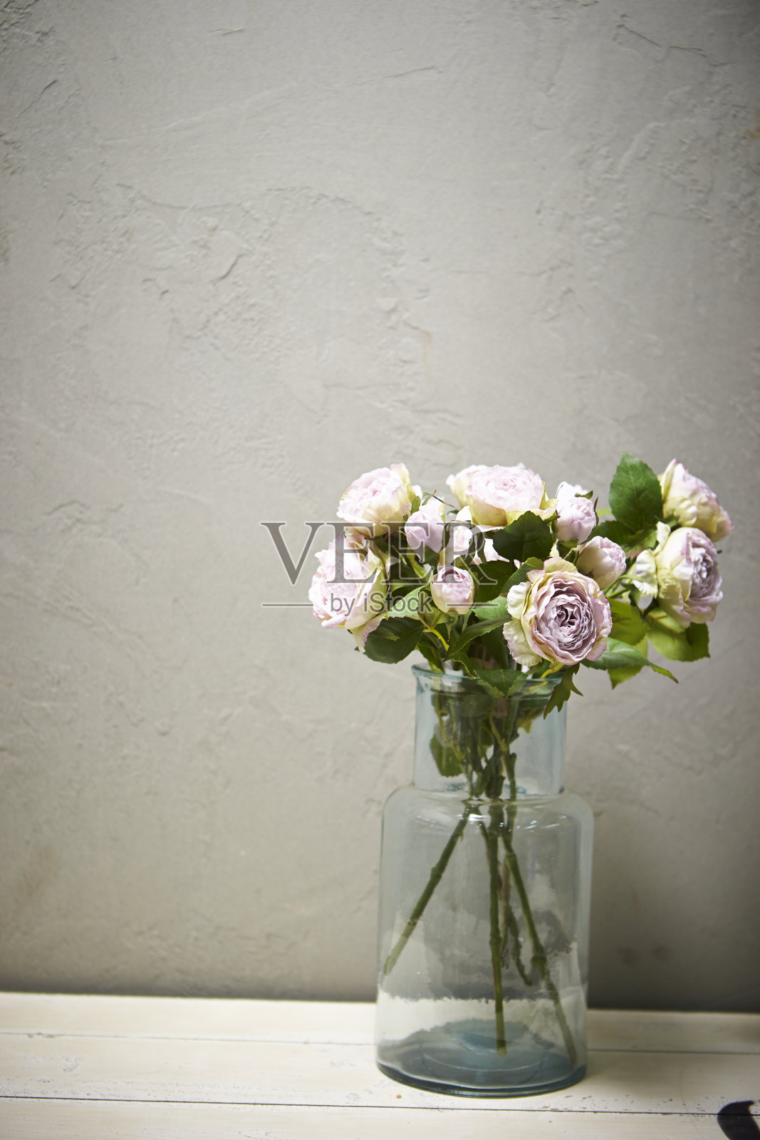 玫瑰照片摄影图片