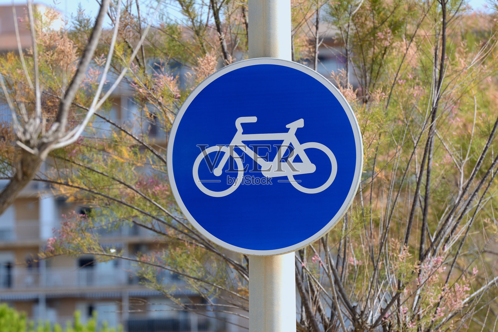 公路上的自行车标志照片摄影图片