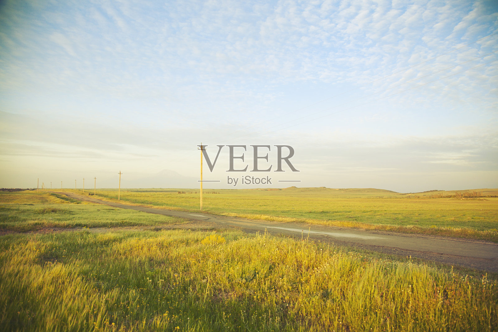 在字段照片摄影图片