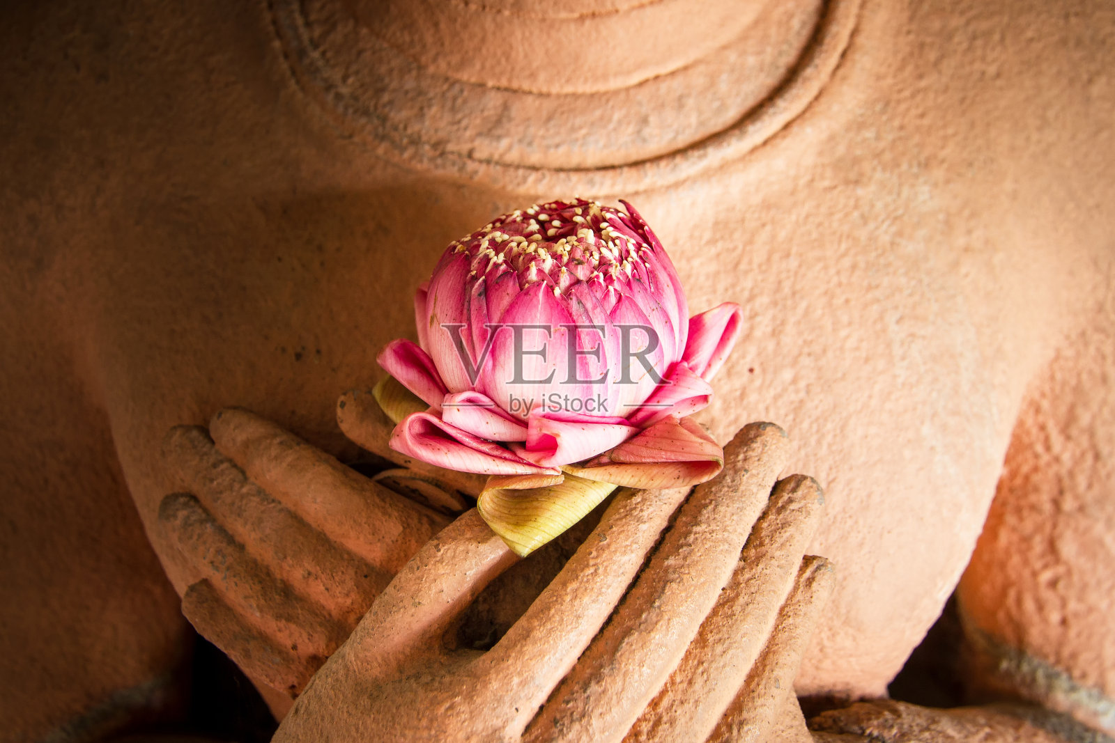 莲花在砂岩佛手中。照片摄影图片