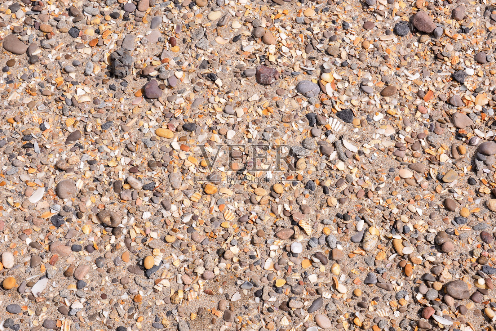 海贝壳上的沙子背景照片摄影图片