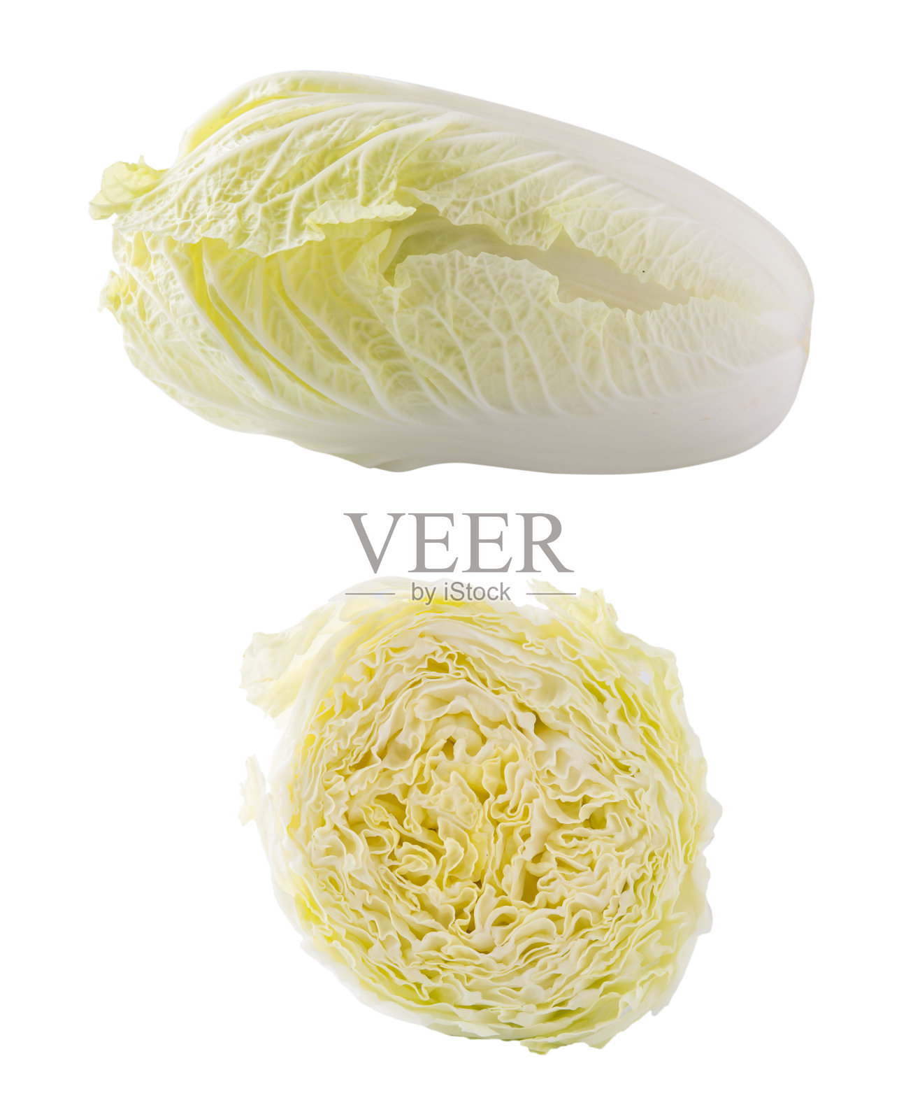 孤立在白色背景上的大白菜。照片摄影图片