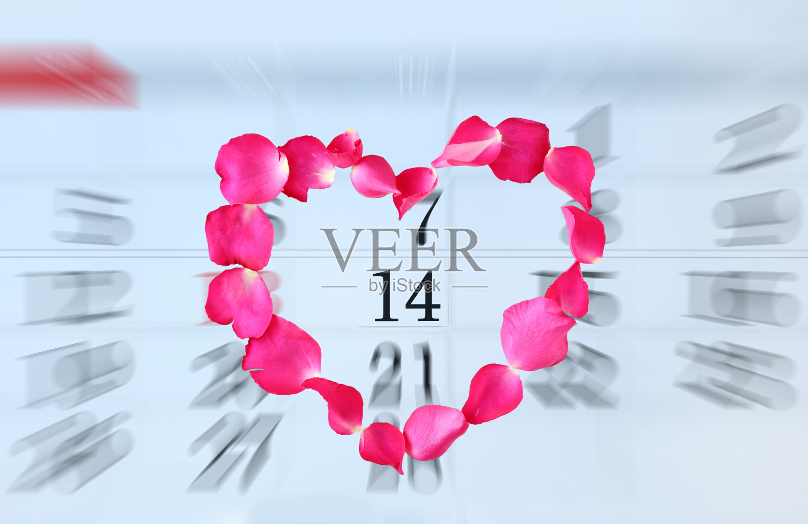 放大日历页与粉红色花瓣玫瑰照片摄影图片