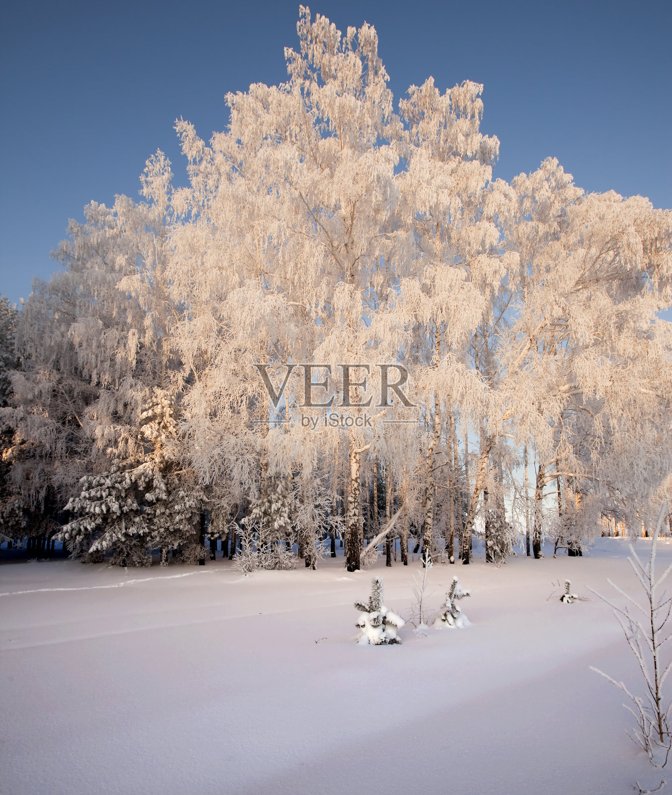 冬天的风景照片摄影图片