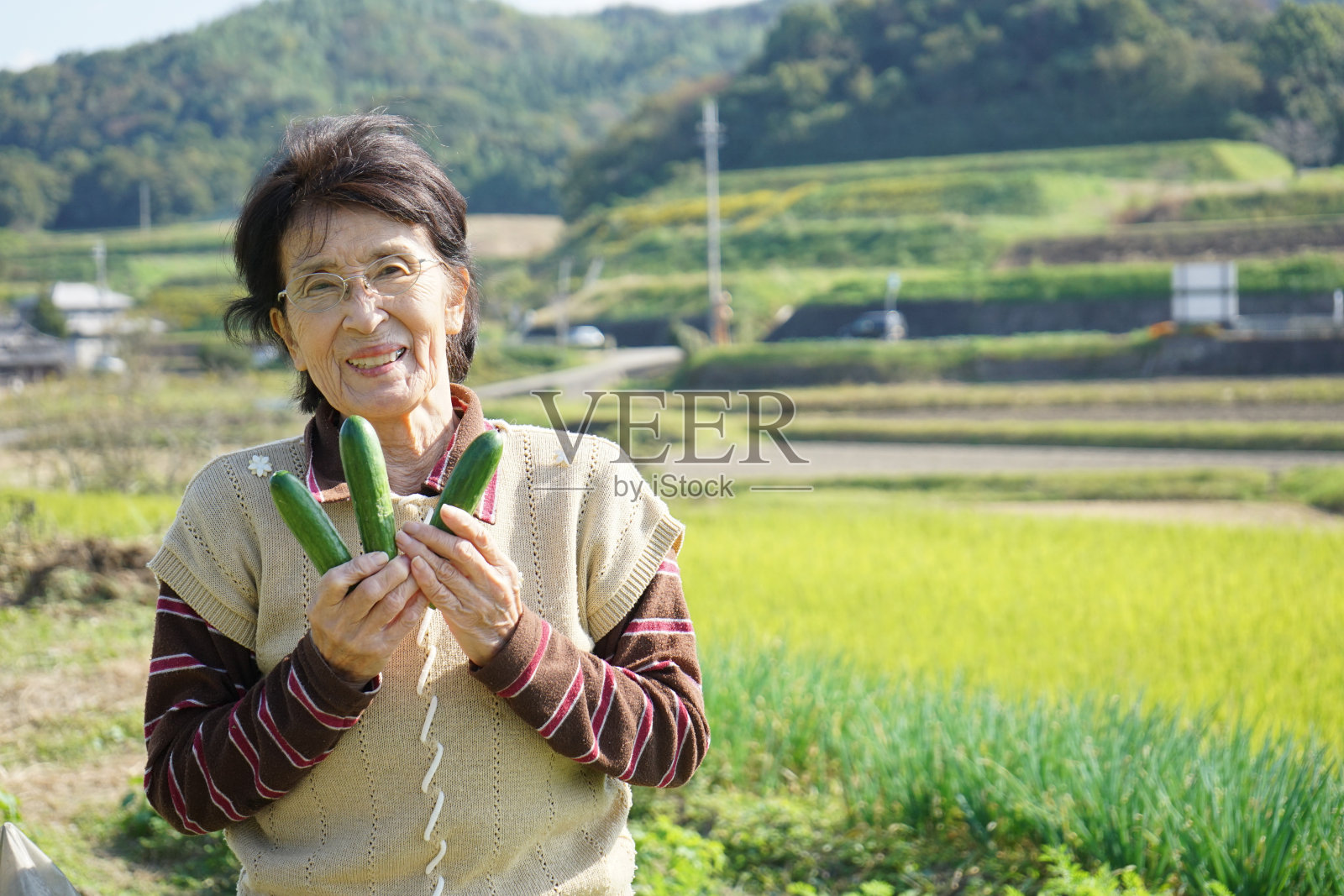 亚洲资深种植蔬菜微笑照片摄影图片