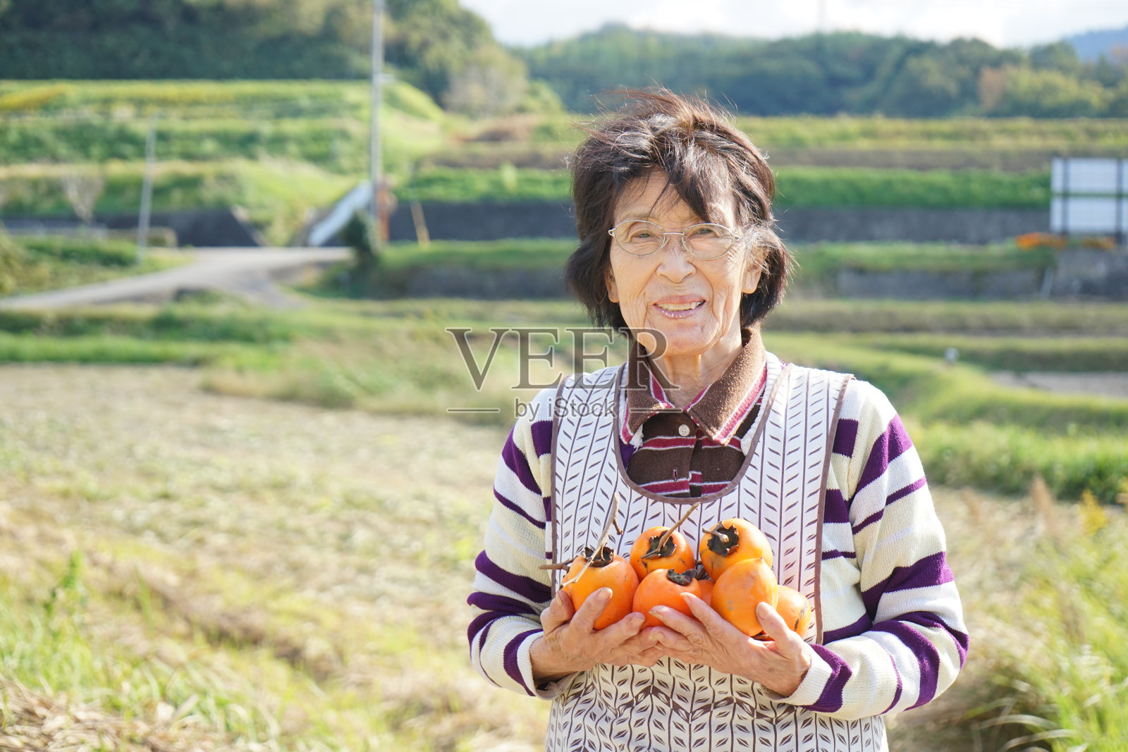 亚洲资深种植蔬菜微笑照片摄影图片