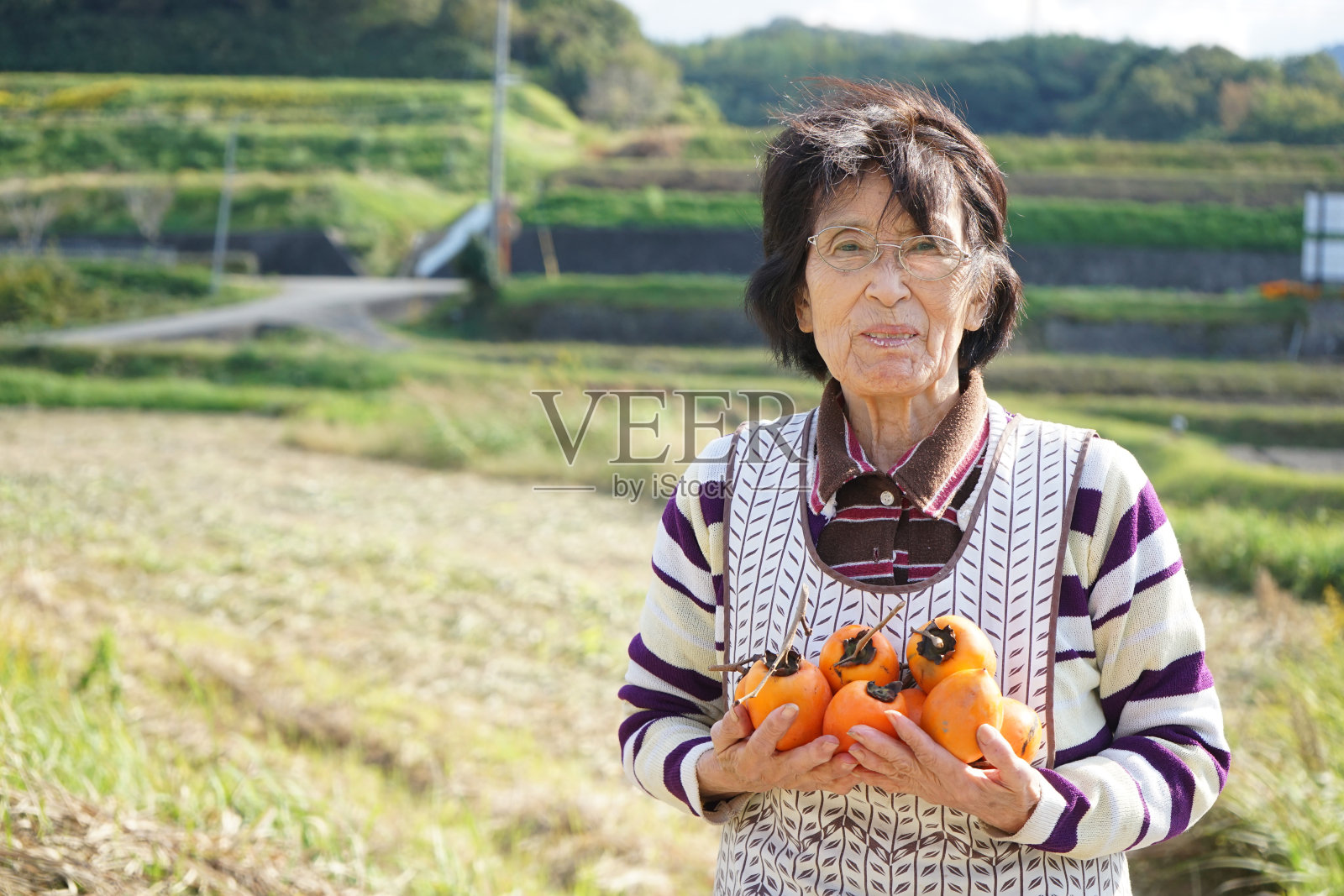亚洲资深种植蔬菜微笑照片摄影图片