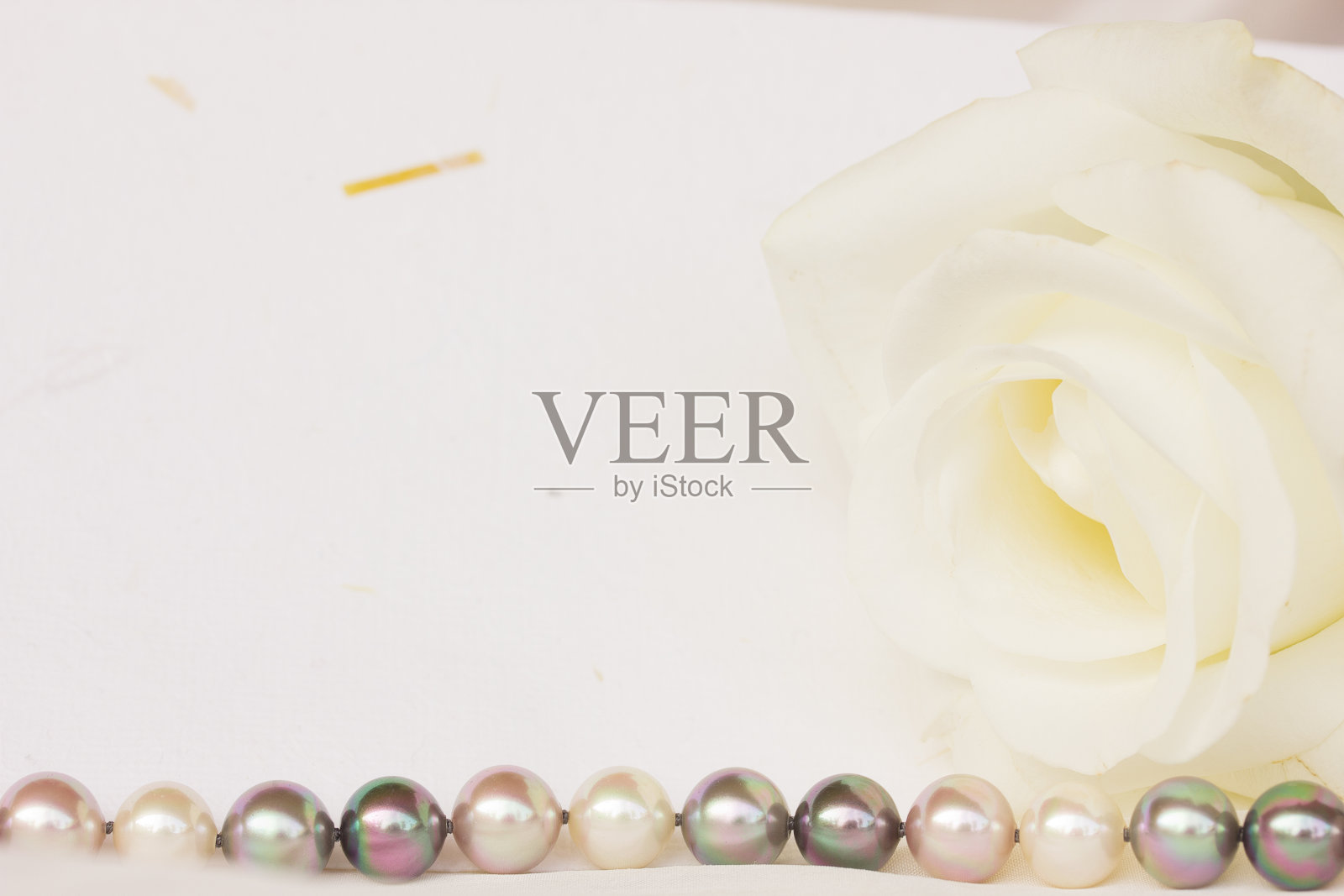 玫瑰和珍珠的贺卡照片摄影图片