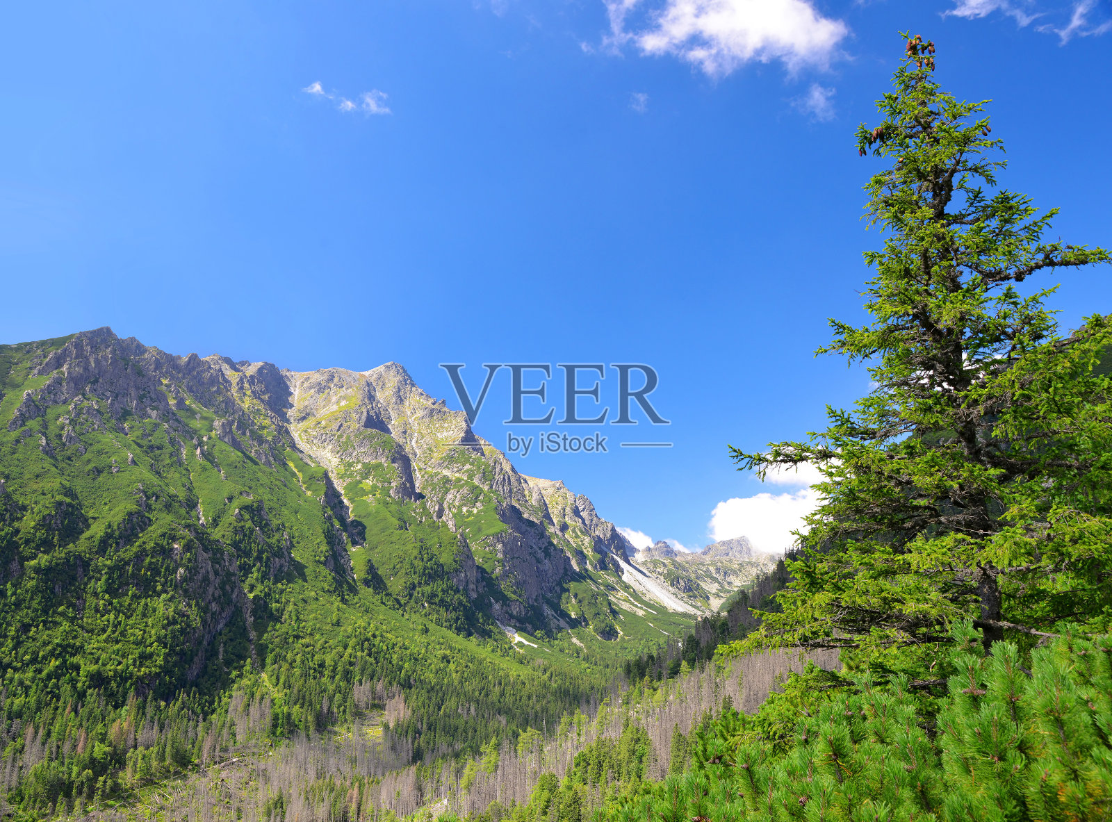 寒冷的山谷-高耸的塔特拉山脉照片摄影图片