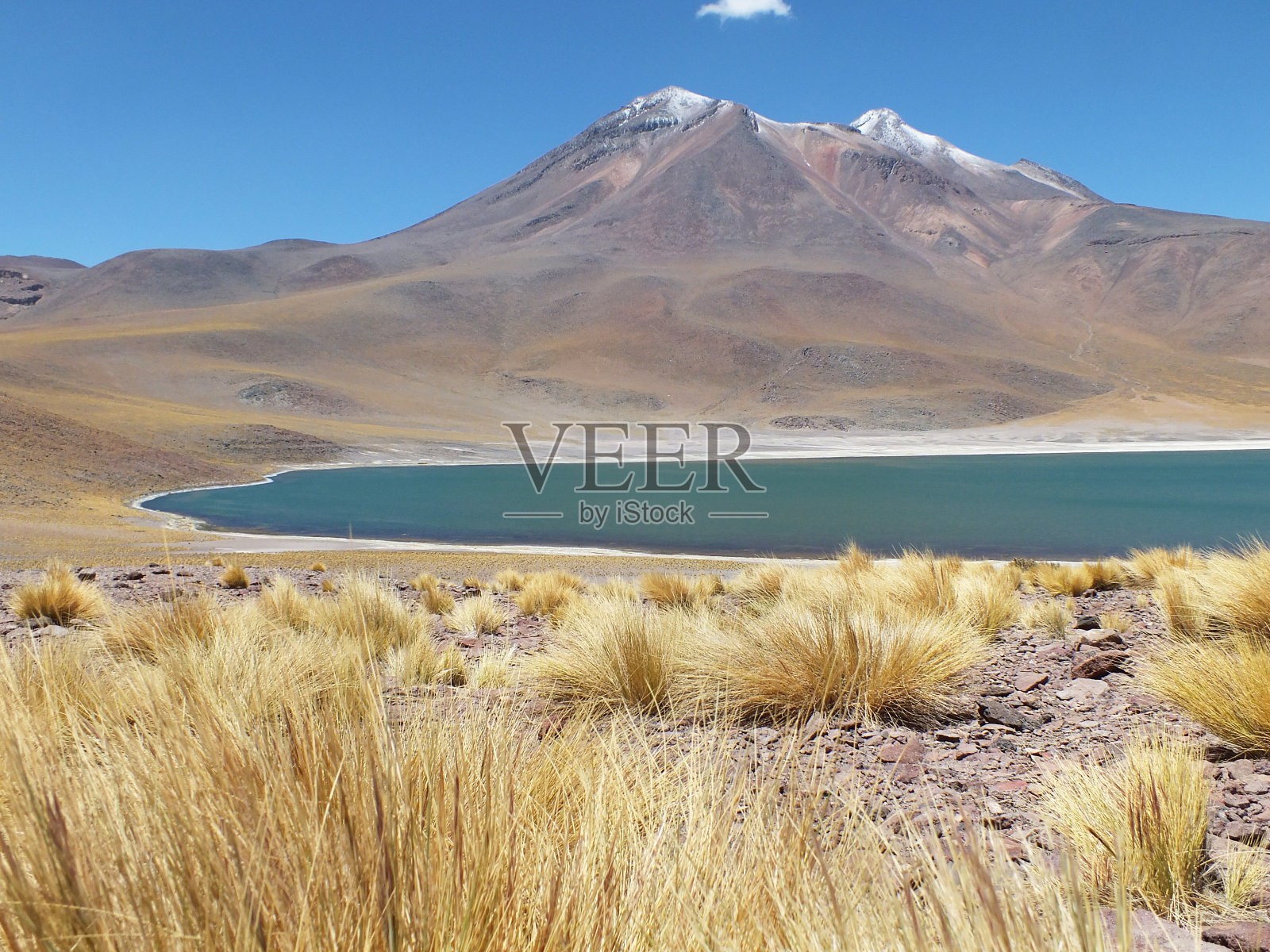 拉古纳Altiplá)照片摄影图片