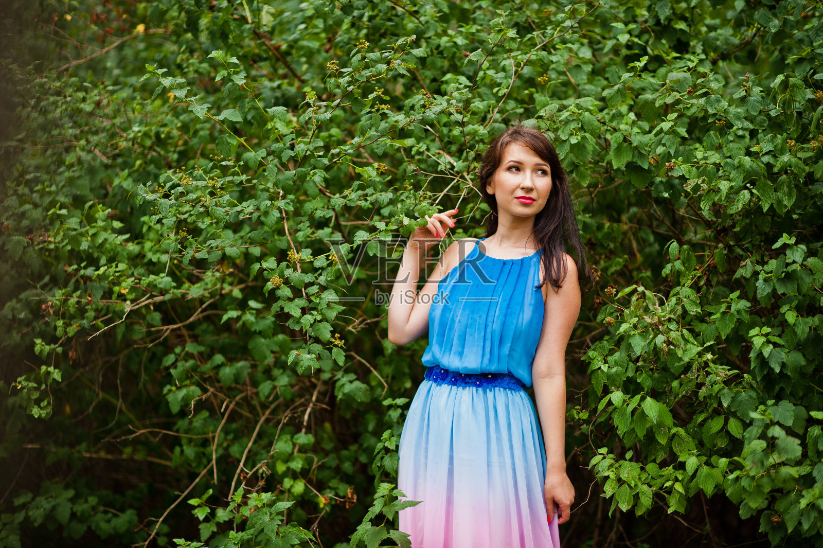 年轻美丽可爱的女孩在松树林摆好姿势照片摄影图片