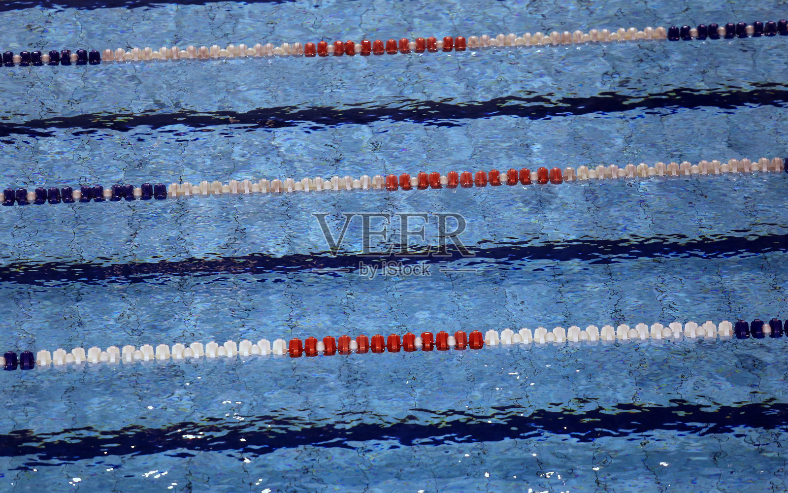 有供游泳比赛的泳道的游泳池照片摄影图片