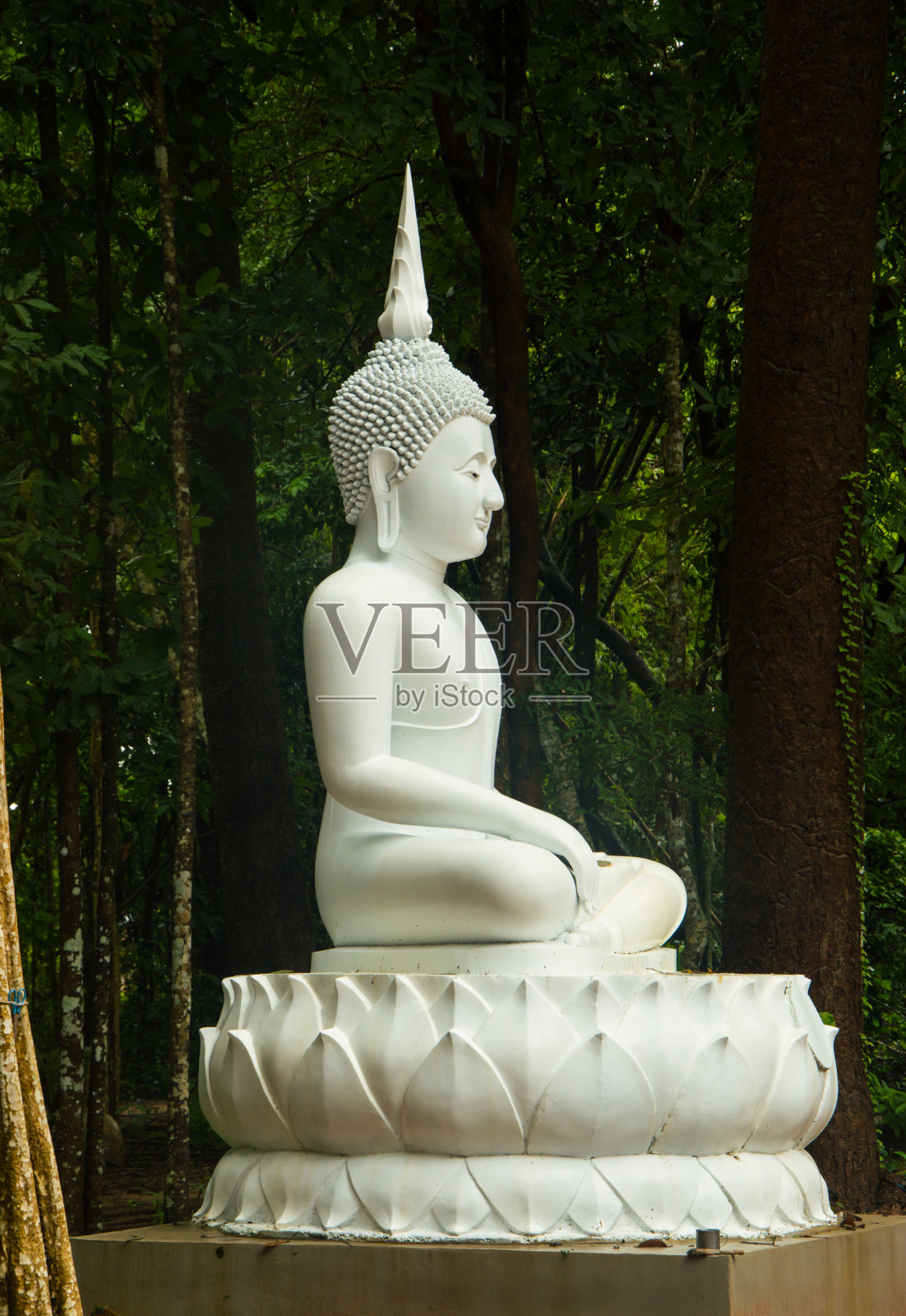 白色的佛像照片摄影图片