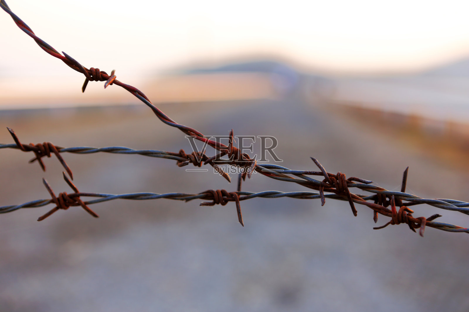 铁丝网照片摄影图片