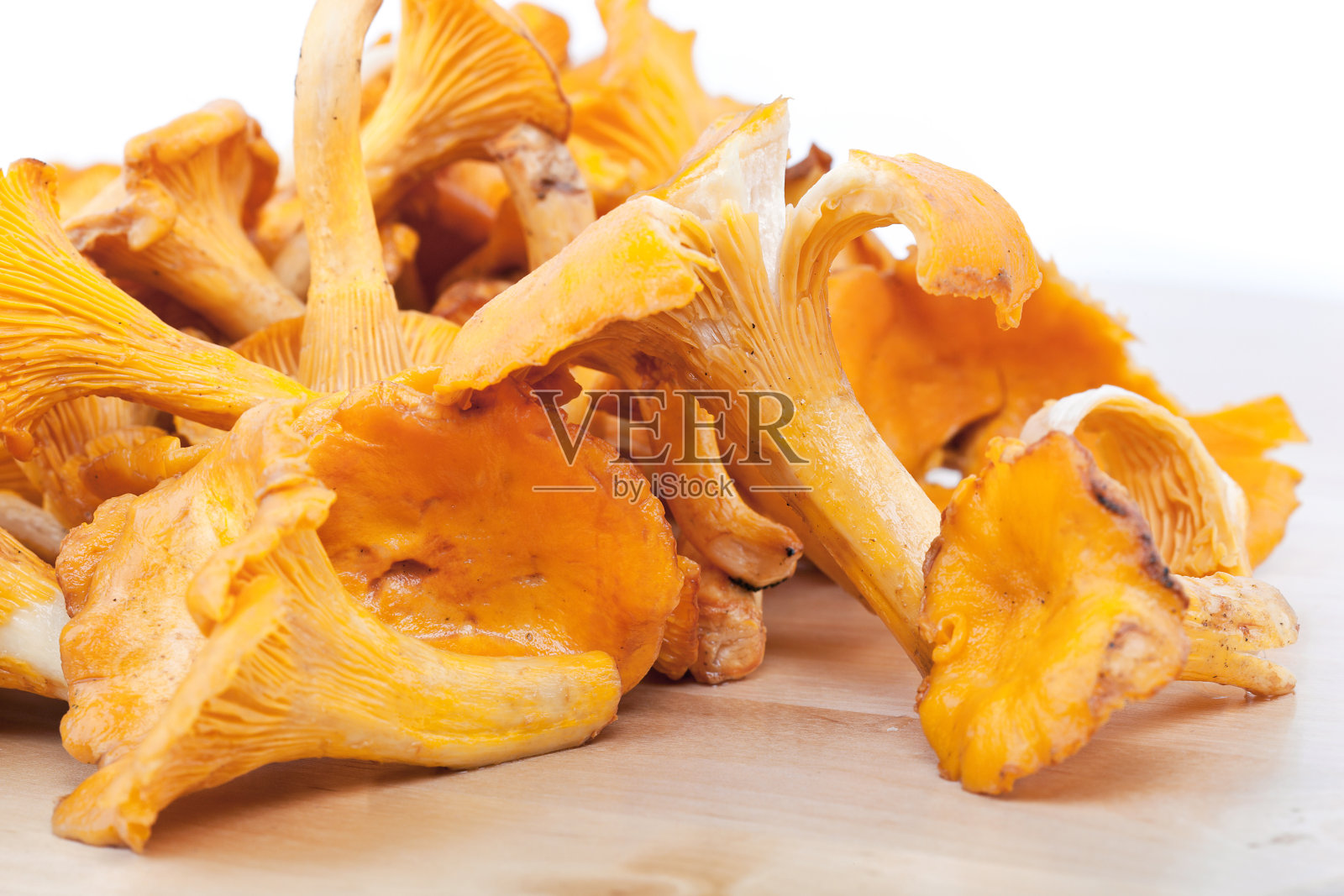 鸡油菌在表照片摄影图片