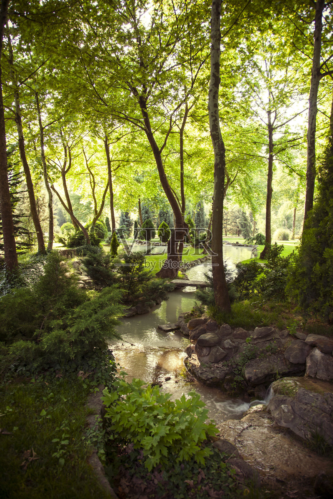 森林照片摄影图片