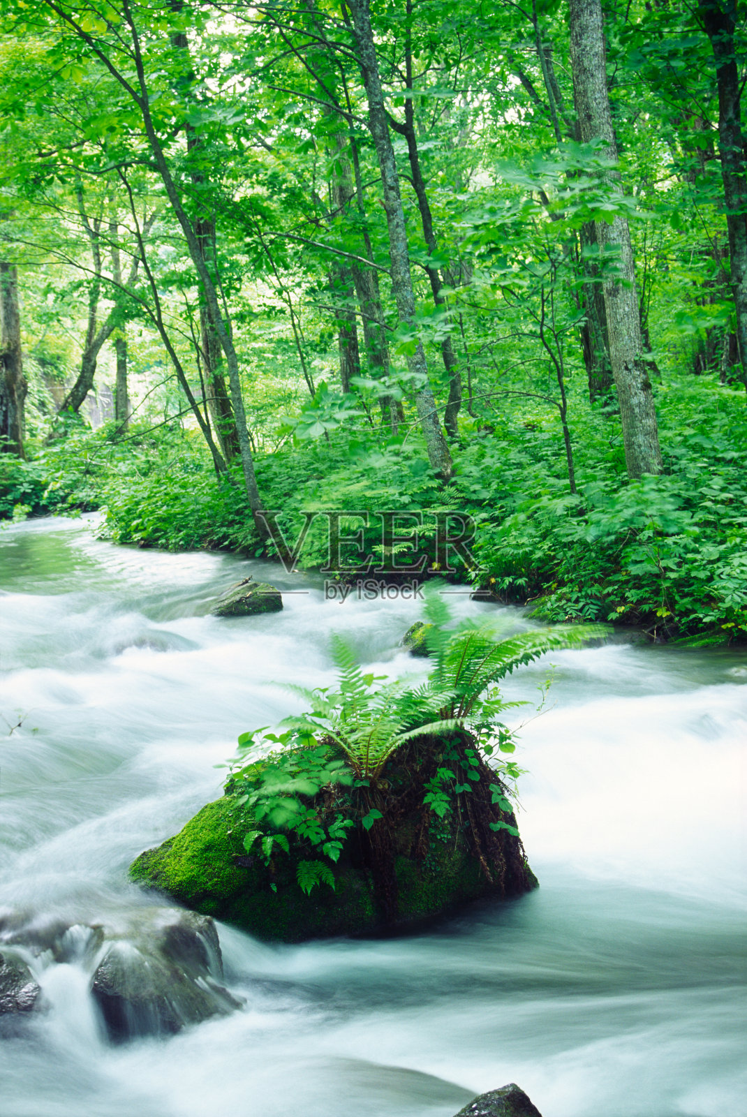 山涧中的岩石照片摄影图片