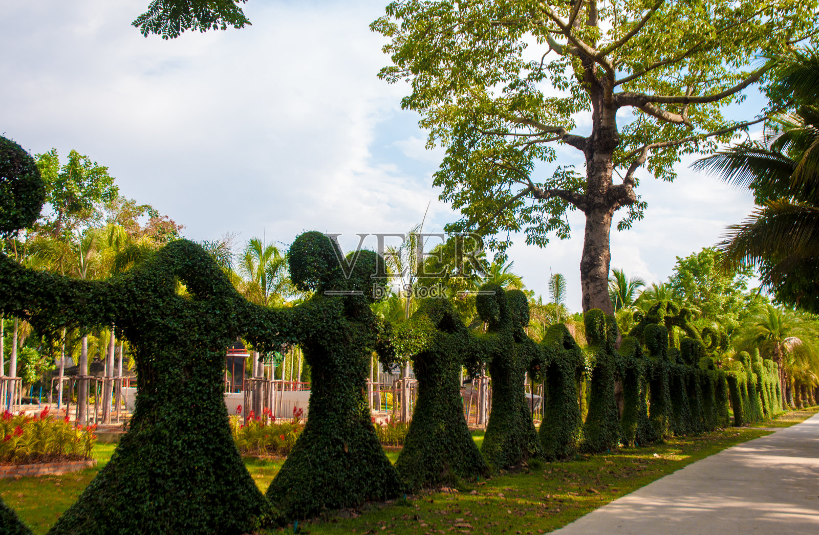 花园照片摄影图片