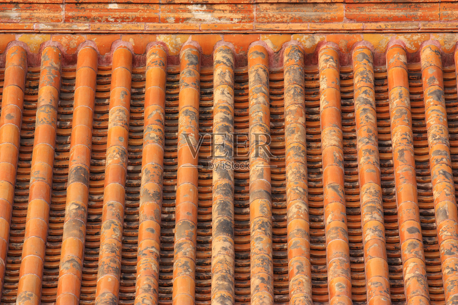 金色的屋顶照片摄影图片