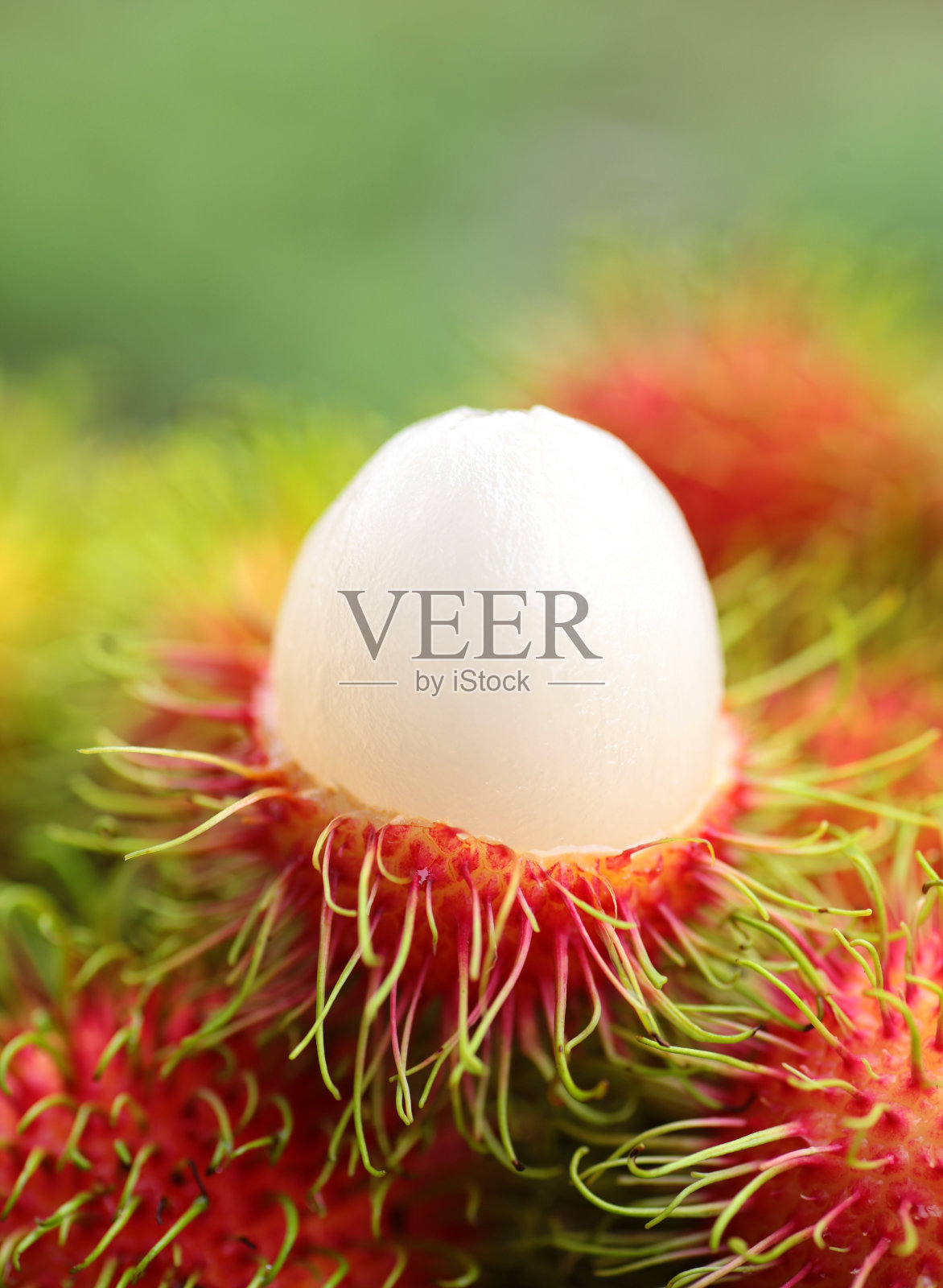 红毛丹照片摄影图片