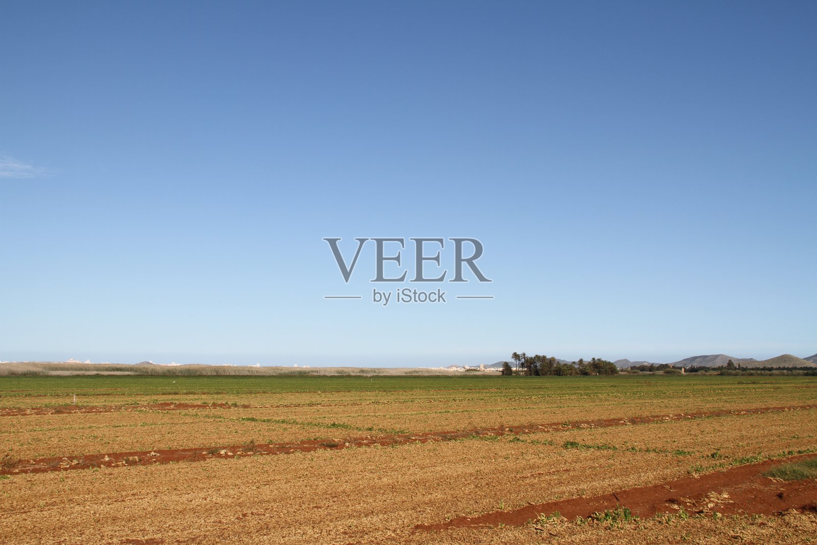 穆尔西亚字段照片摄影图片