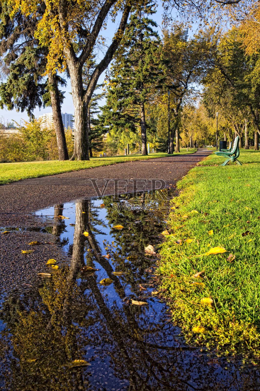 公园在秋天照片摄影图片