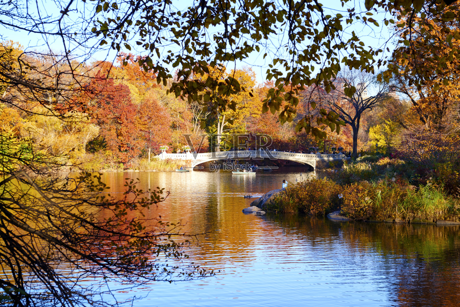 中央公园照片摄影图片