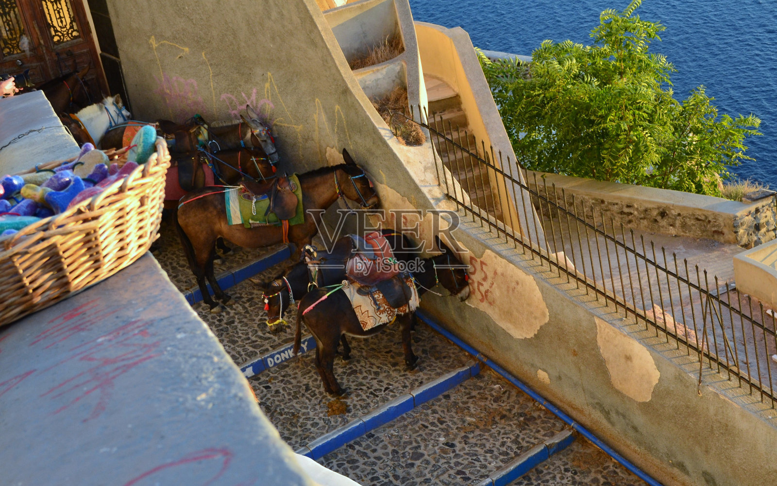 伊索尔·西克拉迪照片摄影图片