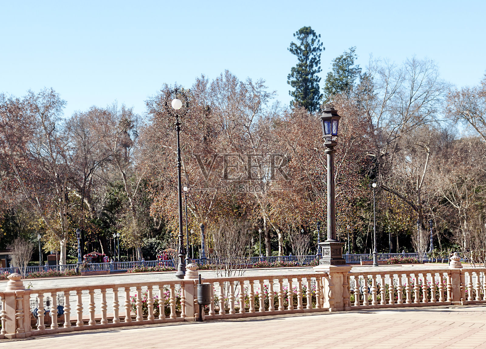 有绿色和棕色叶子的树照片摄影图片