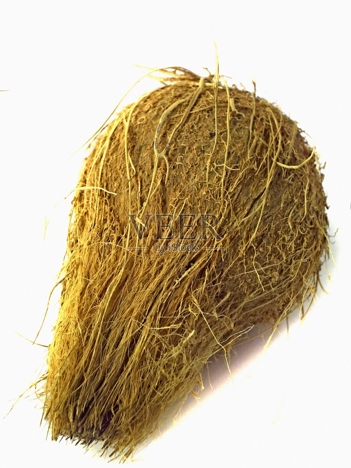 椰子,椰子照片摄影图片