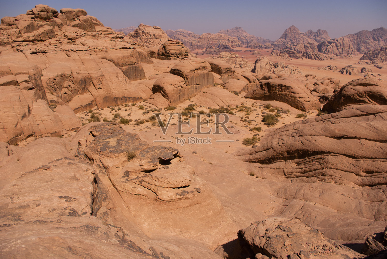 大德朗姆酒照片摄影图片