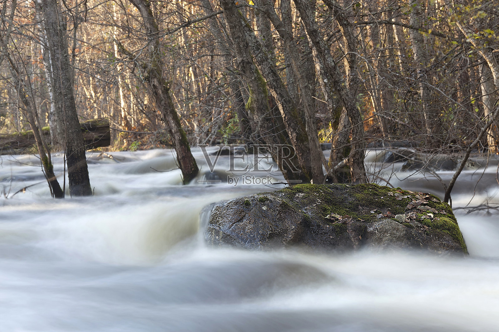 瑞典达拉那的哈格河，暴雨后的洪水照片摄影图片