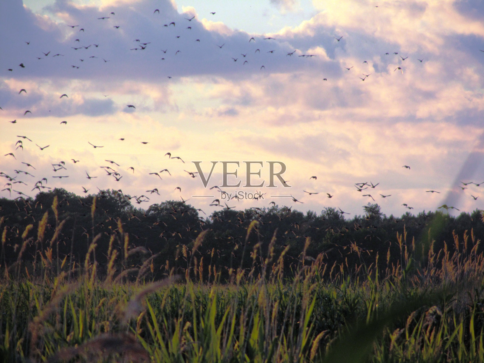 夕阳临水，乌塞多姆和波罗的海的天空正在燃烧照片摄影图片