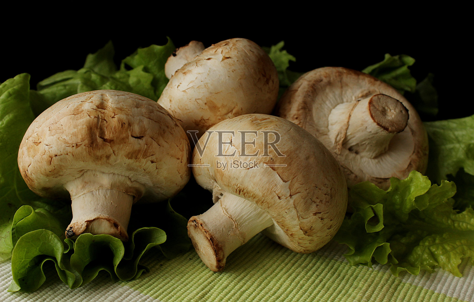 厨房里有香槟照片摄影图片