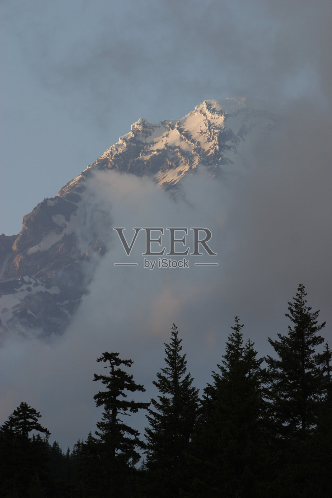 雷尼尔山照片摄影图片