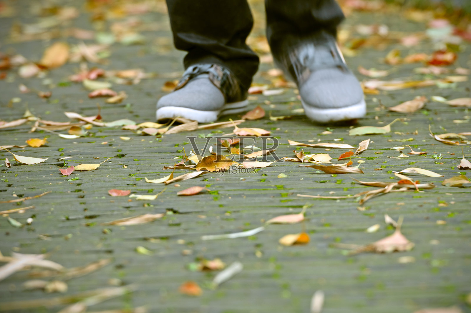 走在落叶上留下亚洲人的痕迹照片摄影图片