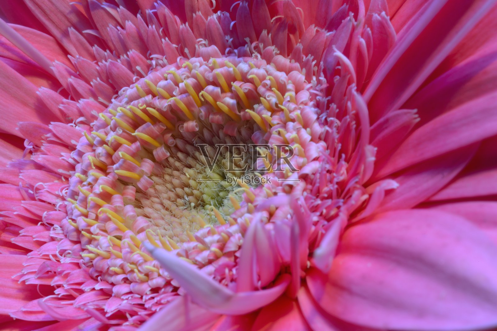 戈贝尔宏照片摄影图片