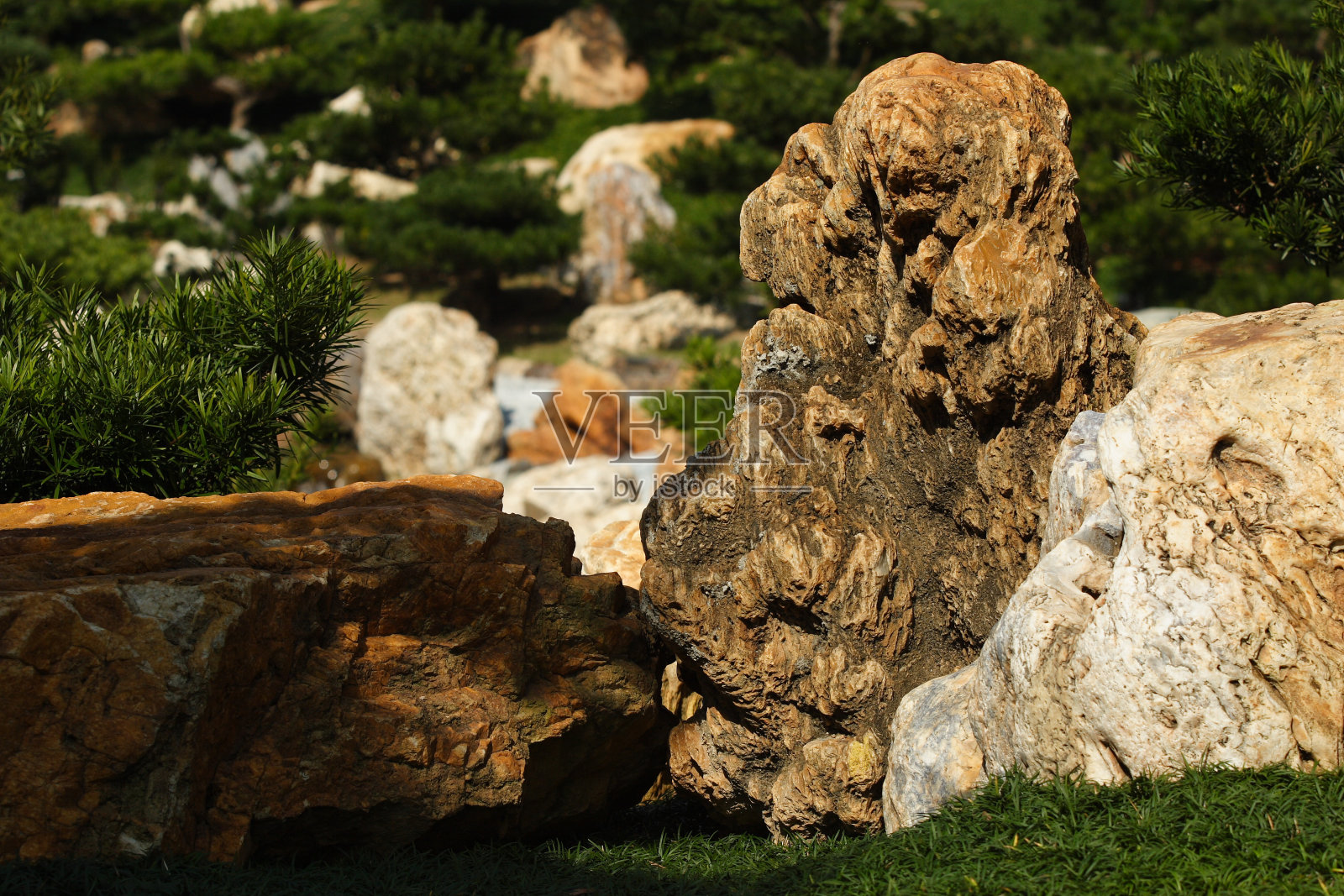 中国园林照片摄影图片