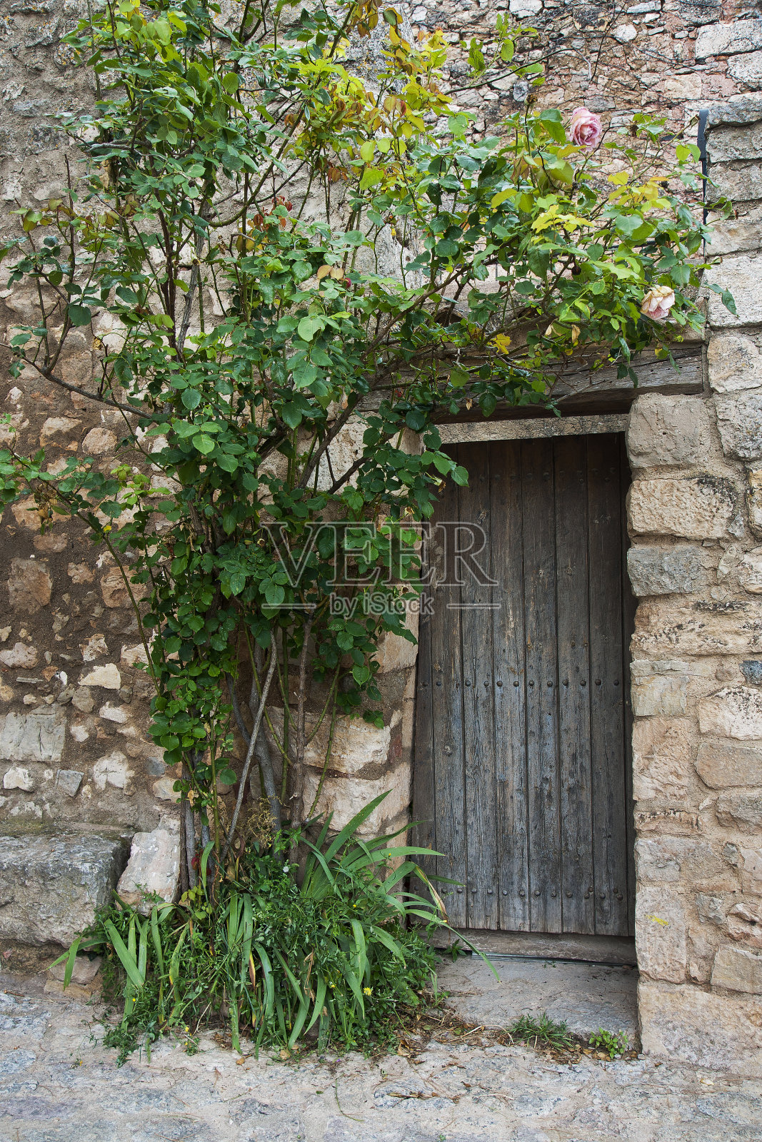 古老的门照片摄影图片