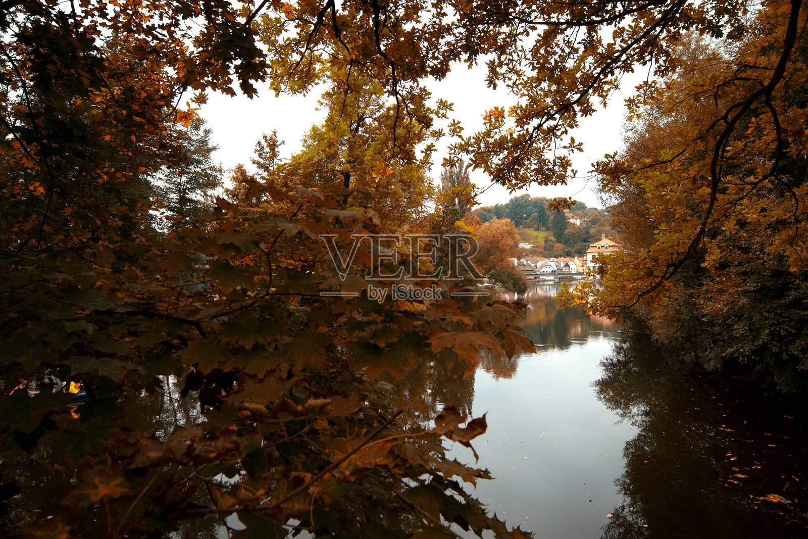 秋天在公园里。照片摄影图片