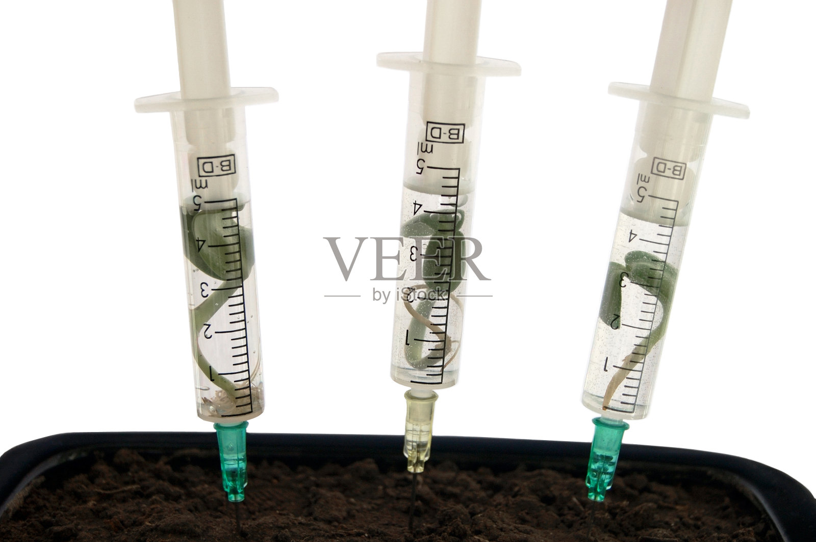 种植植物照片摄影图片