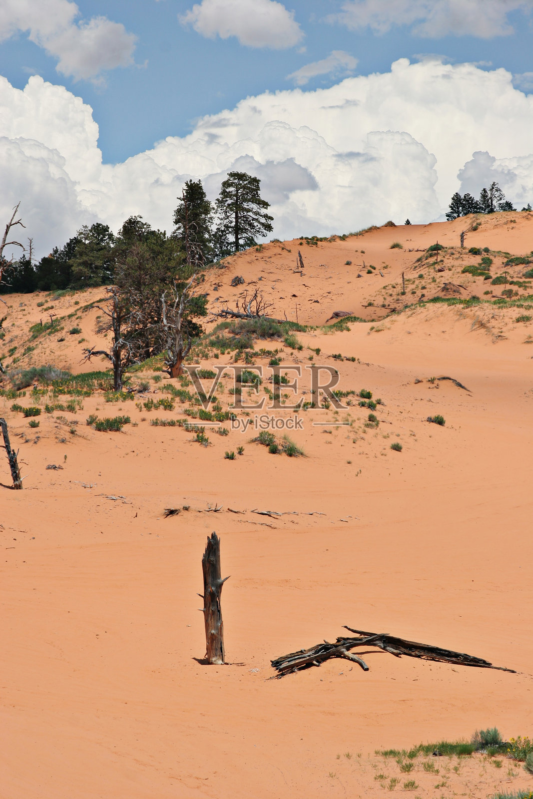 珊瑚粉沙丘照片摄影图片