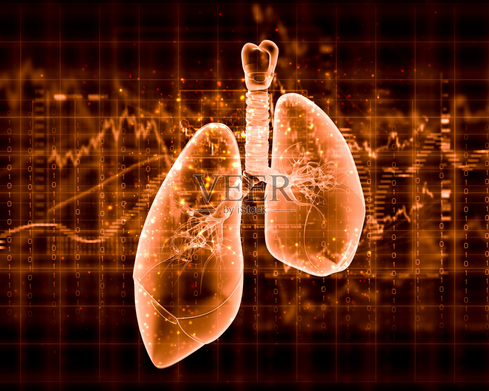 人体肺的示意图照片摄影图片