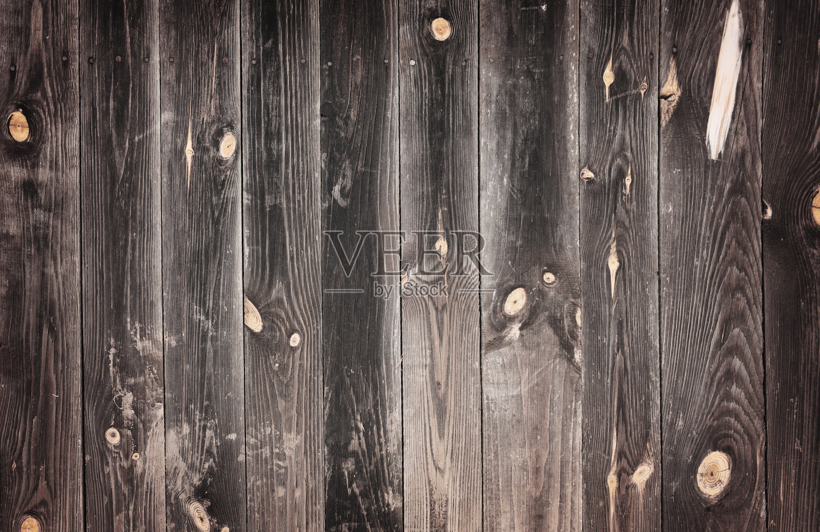 老木的背景照片摄影图片