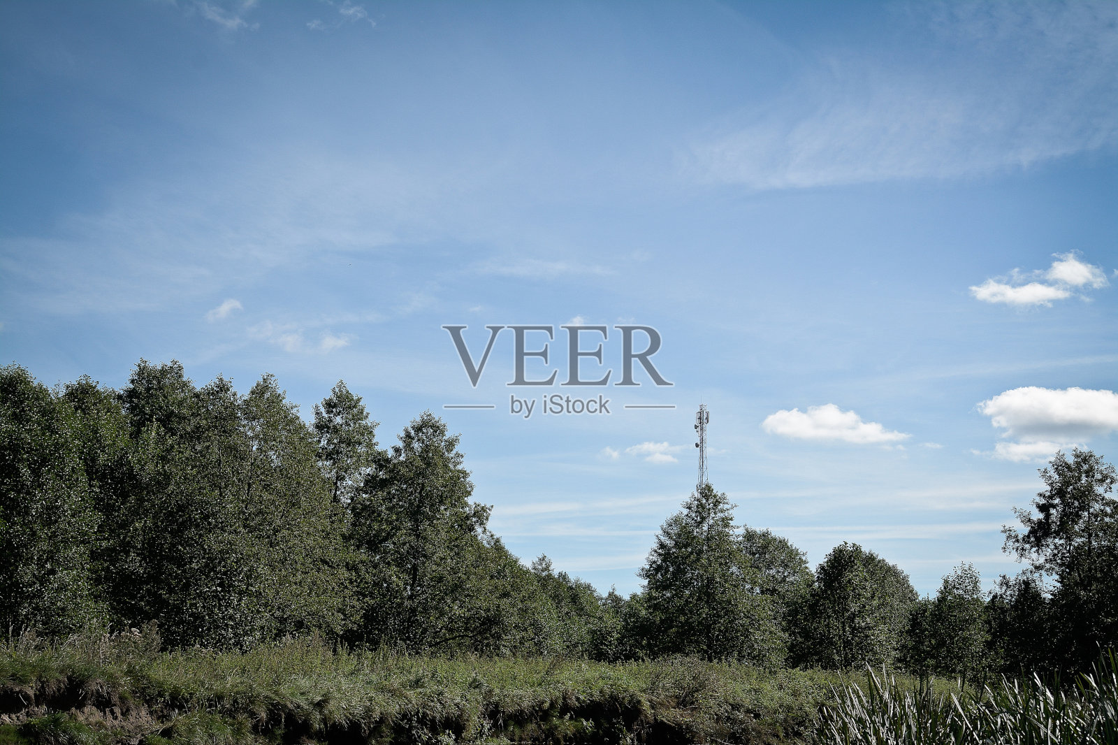 森林里的信号塔照片摄影图片