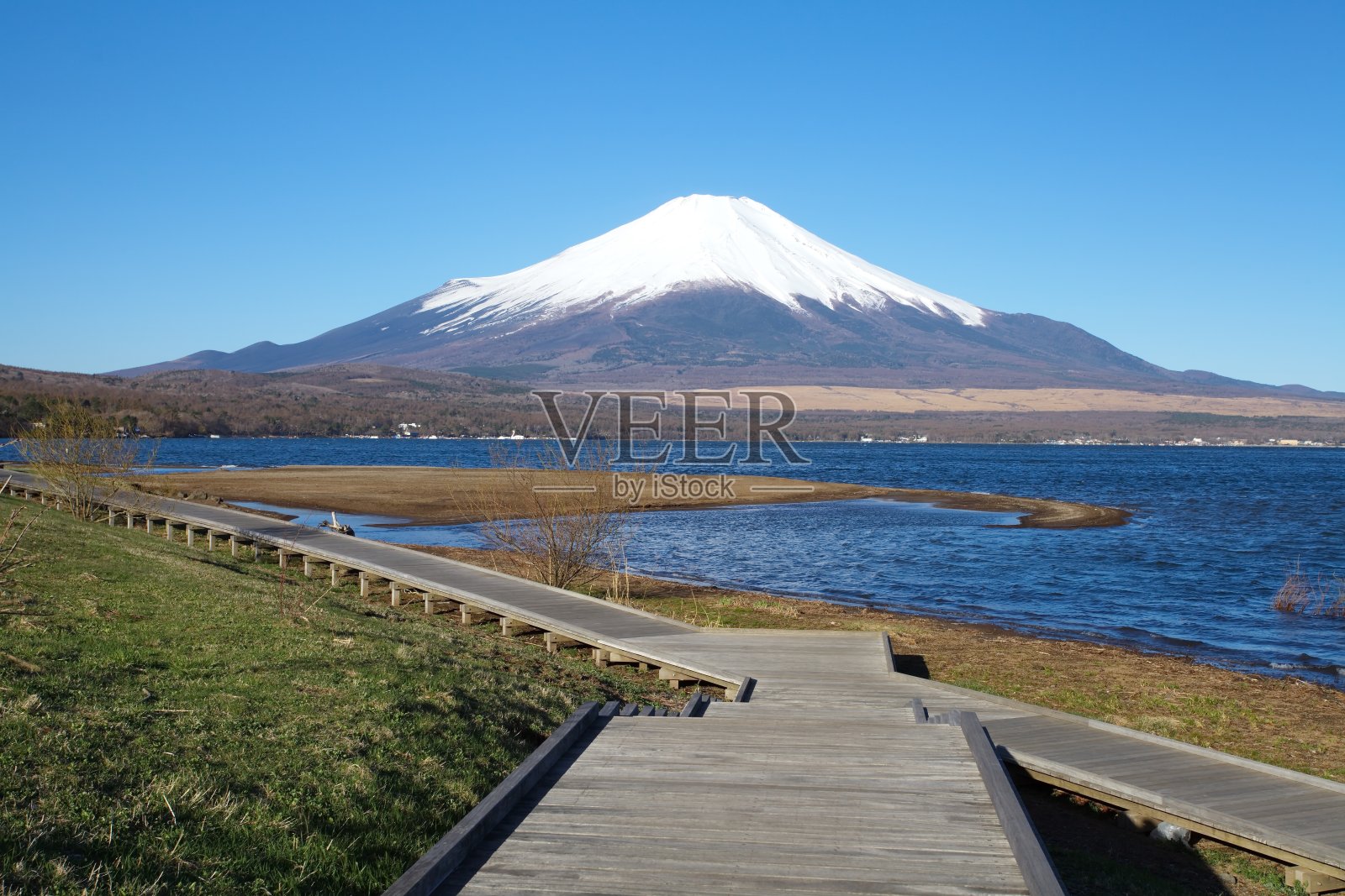 富士山的春天，樱花盛开的季节照片摄影图片