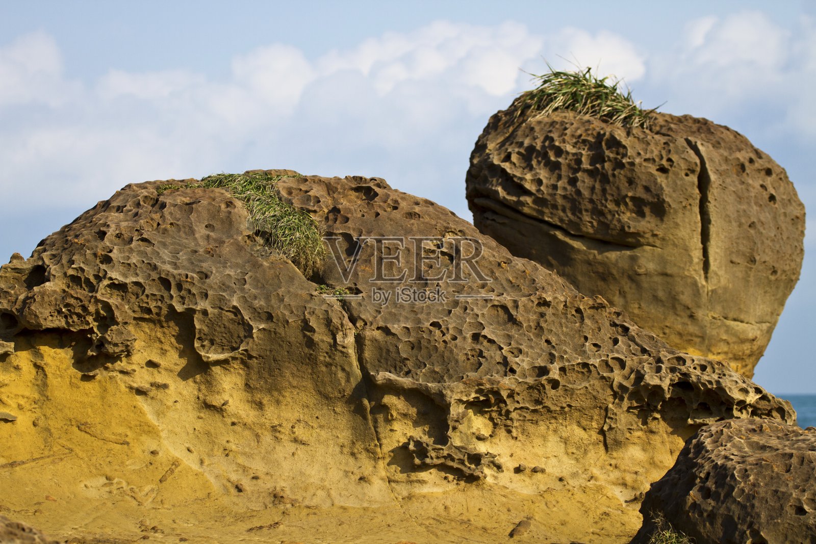 扁平风格班卓琴演奏插画照片摄影图片