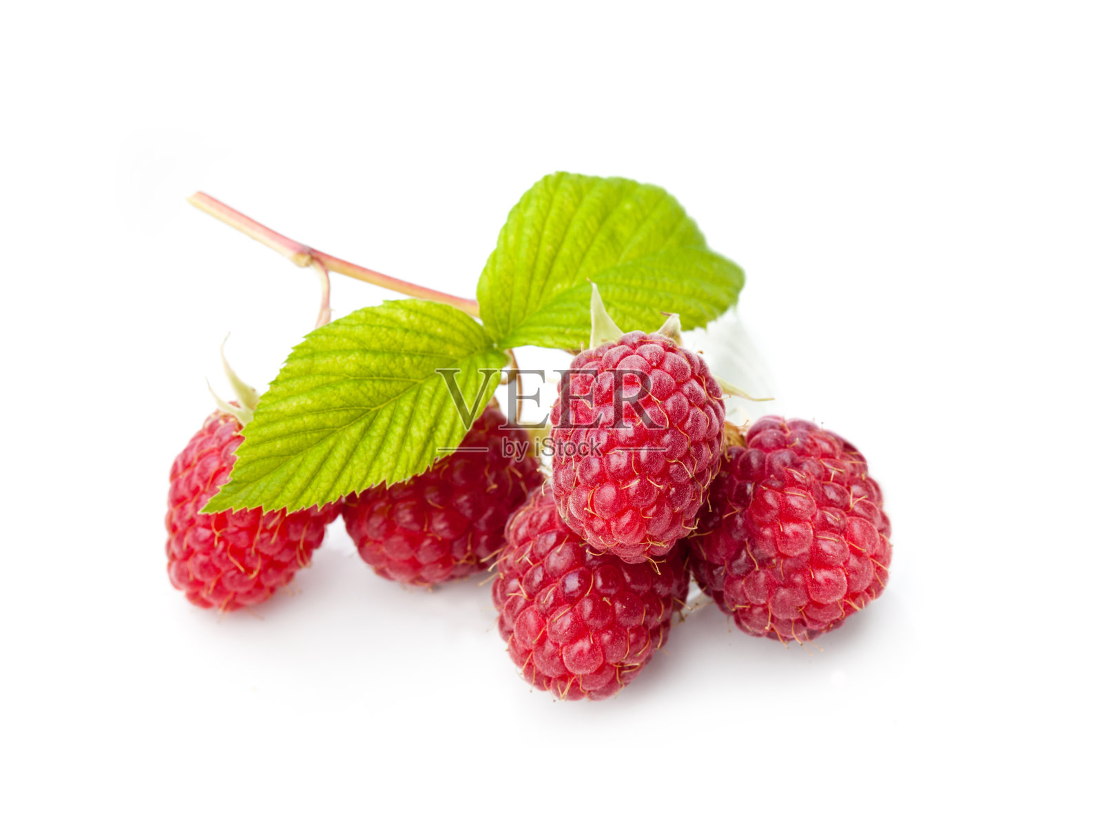 白色背景下的浆果特写镜头照片摄影图片